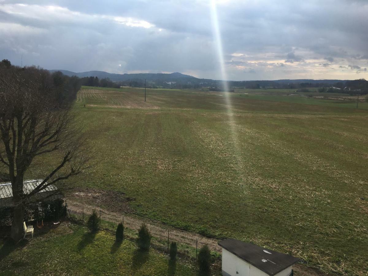 Sonnenappartment In Homburger Solarhaus Homburg  Dış mekan fotoğraf